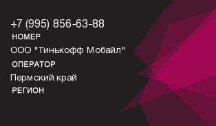 9958566388